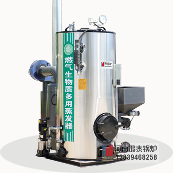 ZFQ立式生物質蒸汽發生器